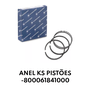 ANEL KS PISTÕES -800061841000