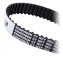 Correia Dentada Comando Contitech Ct1077