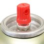 Descarbonizante 300ml - Orbi