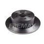 DISCO DE FREIO SOLIDO TRASEIRO FREMAX - BD9209