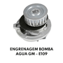 ENGRENAGEM BOMBA AGUA GM