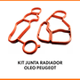 Kit Junta Radiador Oleo Peugeot