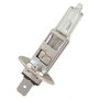 LÂMPADA 12V 55W P14.5S MAGNETI MARELLI - LMM64150