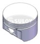 Pistão 0,50 Suloy - Ps 4990 0,50 - Focus 