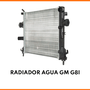 Radiador Agua Gm G12i