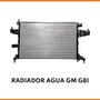 Radiador de Água Gm G8i