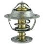 VALVULA TERMOSTATICA FORD